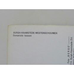 3 Kaarten: Bos, duin en zee bij Burgh-Haamstede / Renesse