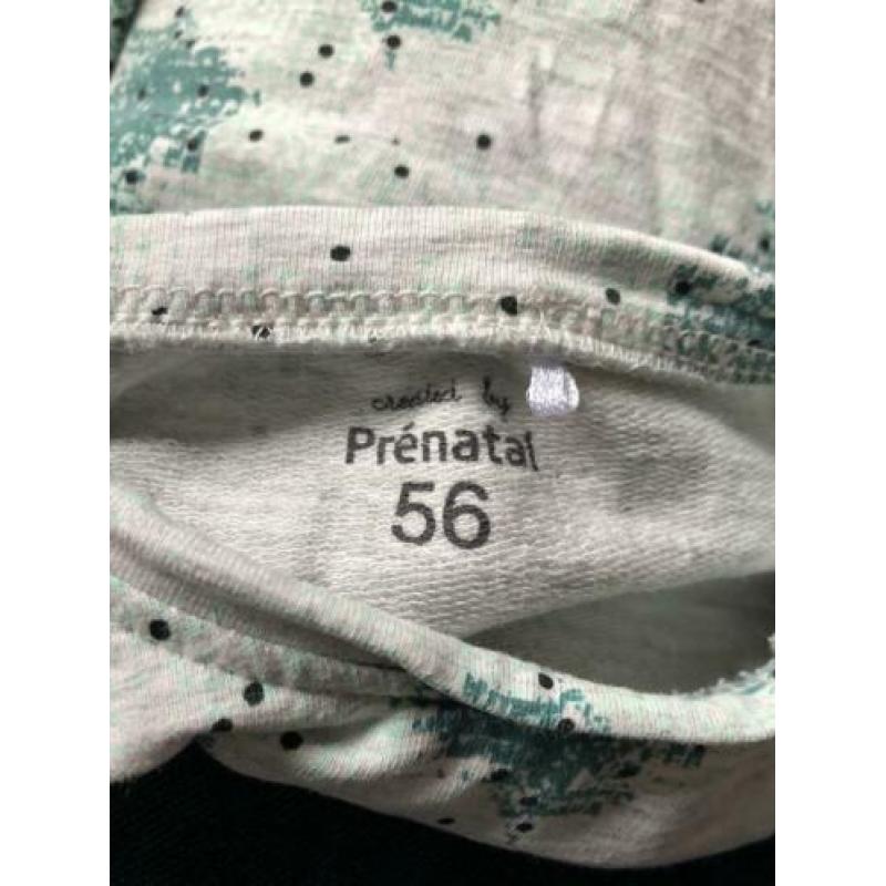 Jurk tuniek prenatal 56