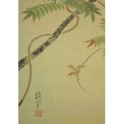 oud japanse scroll "Wisteria & japanse Blauwe Vliegenvanger.