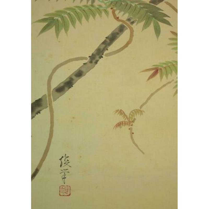 oud japanse scroll "Wisteria & japanse Blauwe Vliegenvanger.