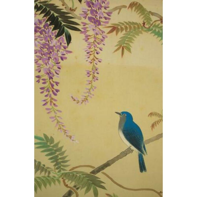 oud japanse scroll "Wisteria & japanse Blauwe Vliegenvanger.