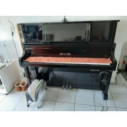 Piano Gebr. Perzina GP 130 BB-RR