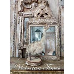 Victorian Times" Decoratief Geweldig leuke Struisvogeljong,