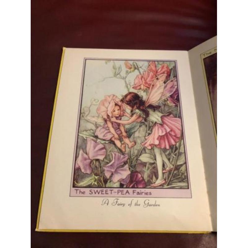 Zeldzame CICELY BARKER'S FLOWER FAIRY PICTURE BOOK