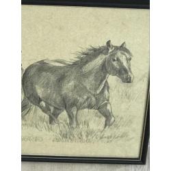 Paarden tekening Ellen Welltens Lourens 45x30 cm