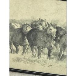 Paarden tekening Ellen Welltens Lourens 45x30 cm