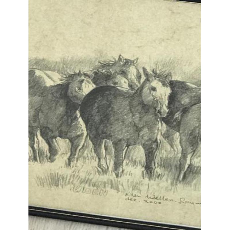 Paarden tekening Ellen Welltens Lourens 45x30 cm