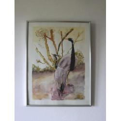 aquarel Kraanvogels