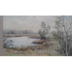 Cox P. Peter landschap schilderij aquarel duinen ven plas