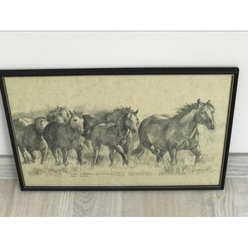 Paarden tekening Ellen Welltens Lourens 45x30 cm