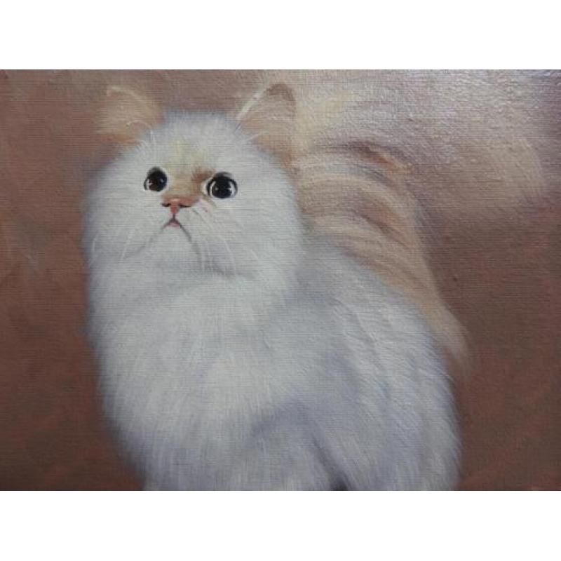 Schilderij Kitten