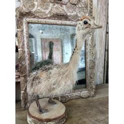 Victorian Times" Decoratief Geweldig leuke Struisvogeljong,