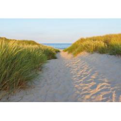 Fotobehang Strand op hout, Strandbehang